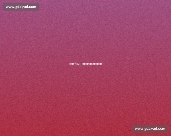 维尔德 2025 开启密集赛程，剑指重量级巅峰