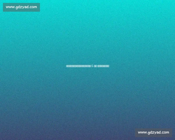 雷暴侵袭世俱杯！切尔西本菲卡鏖战近 5 小时 加时三球逆转晋级