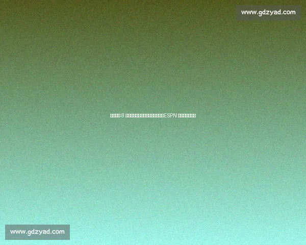 试训打爆 8 号秀杰明！比卢普斯盛赞杨瀚森：ESPN 看好未来全明星